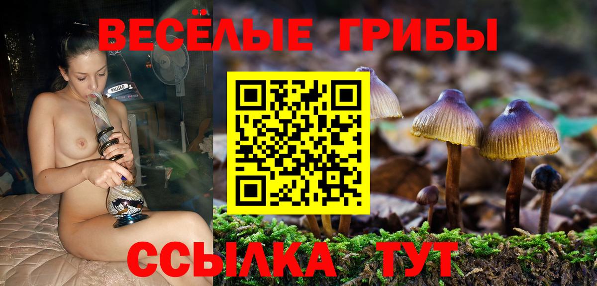 Псилоцибиновые грибы Magic Shrooms  Вход с VPN  Междуреченск 