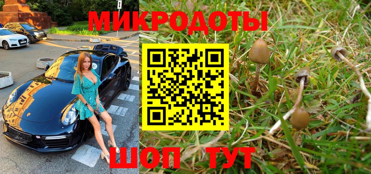 Псилоцибиновые грибы мицелий Междуреченск